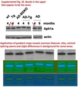 Cell 2nd eval 4