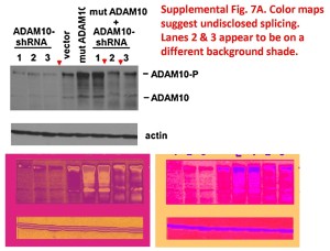 Cell 2nd eval 8